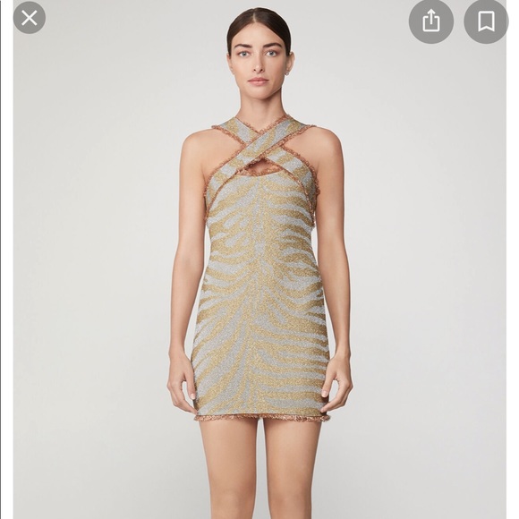 Herve Leger Dresses & Skirts - Herve Leger Metallic Anima Print Fringe Dress NWT